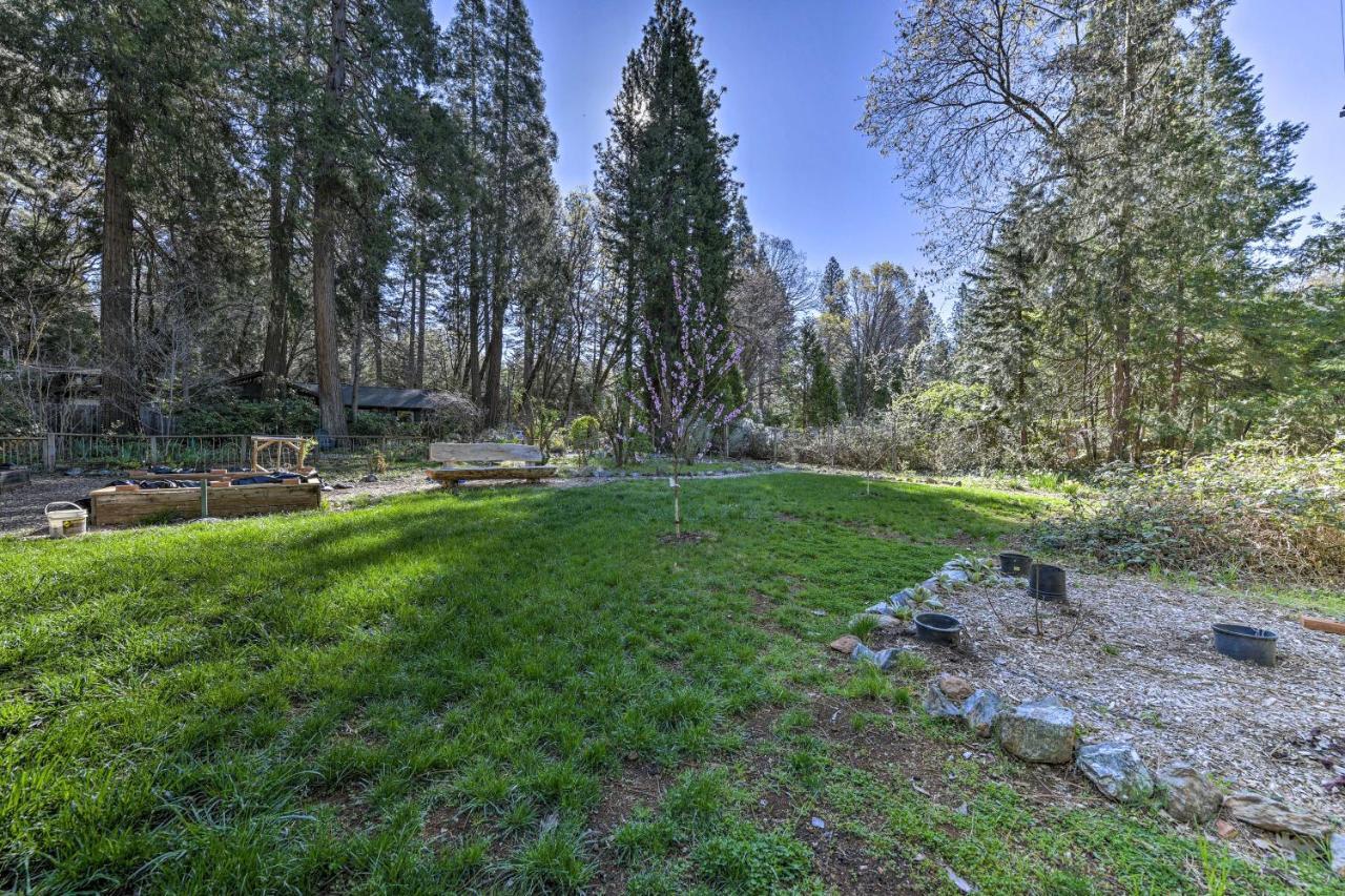 Peaceful Grass Valley Cottage With Bbq Grill And Yard! Dış mekan fotoğraf