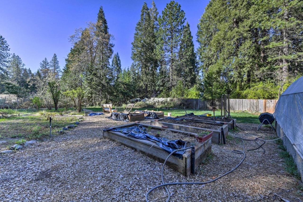 Peaceful Grass Valley Cottage With Bbq Grill And Yard! Dış mekan fotoğraf