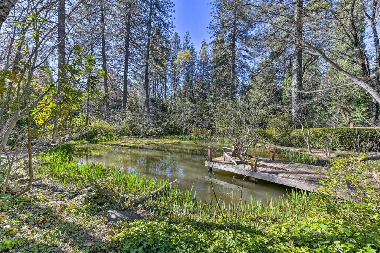Peaceful Grass Valley Cottage With Bbq Grill And Yard! Dış mekan fotoğraf